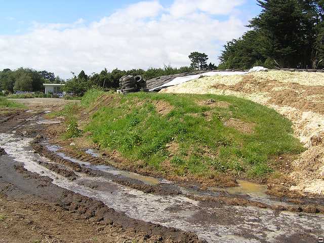 NZ leden-unor 2006 137.jpg